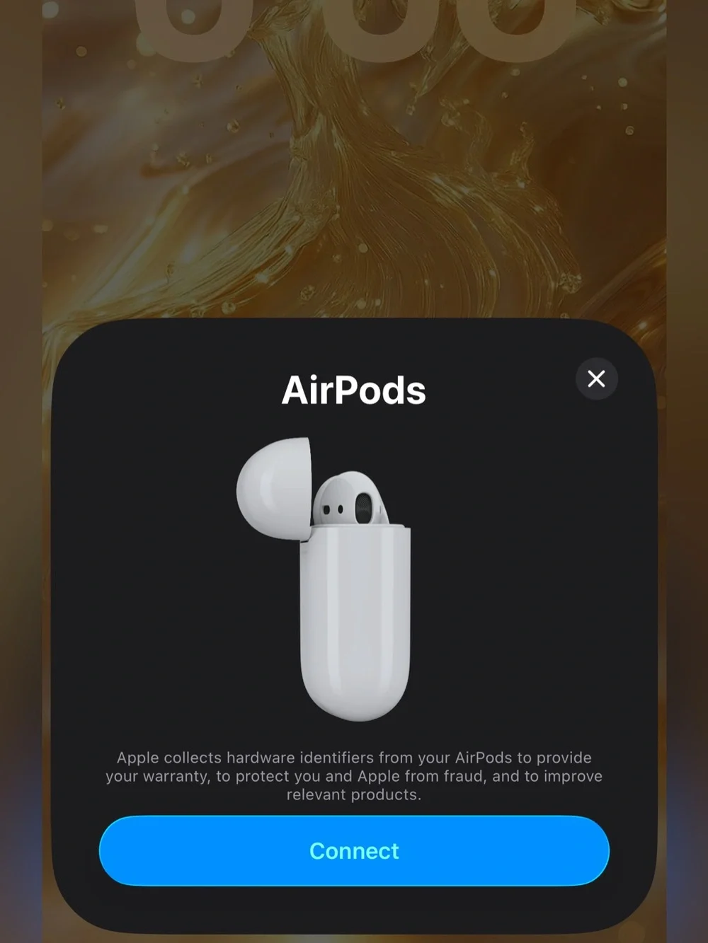 Charging Case Only